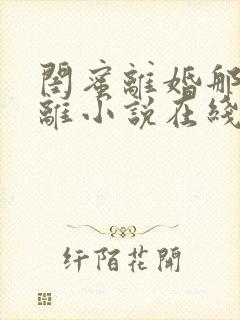 闺蜜离婚那我也离小说在线阅读