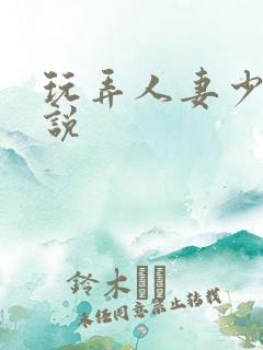 玩弄人妻少妇小说