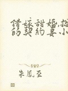 错嫁甜婚,总裁的契约妻小说