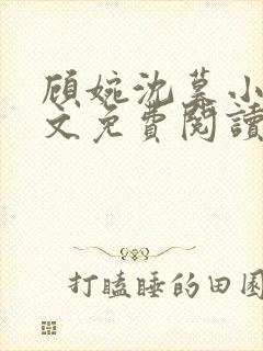 顾婉沈暮小说全文免费阅读无弹窗