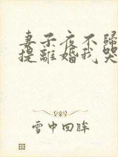 妻子夜不归宿她提离婚我哭了小说