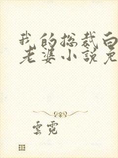 我的总裁白富美老婆小说免费阅读