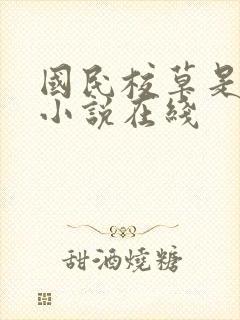 国民校草是女生小说在线