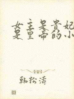 女主是贵妃男主是皇帝的小说