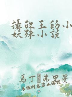 摄政王的小闲妻妖殊小说