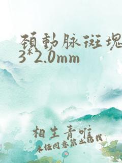 颈动脉斑块5.3*2.0mm