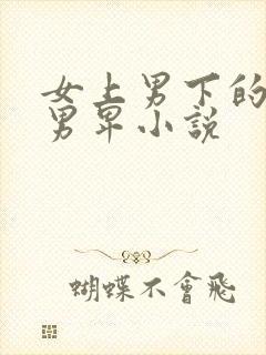 女上男下的女尊男卑小说