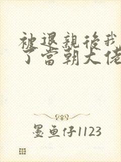 被退亲后我嫁给了当朝大佬 小说