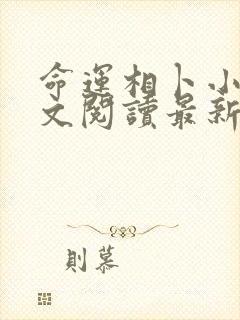 命运相卜小说全文阅读最新章节更新