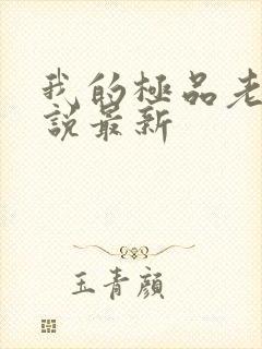 我的极品老婆小说最新