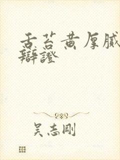 舌苔黄厚腻中医辩证