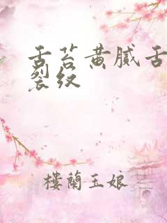 舌苔黄腻舌中有裂纹