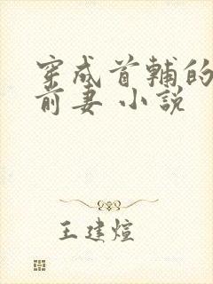 穿成首辅的炮灰前妻 小说