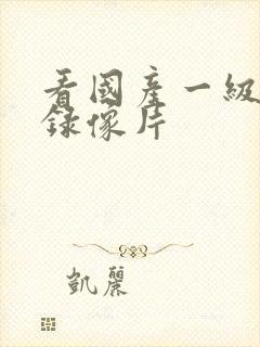 看国产一级黄色录像片