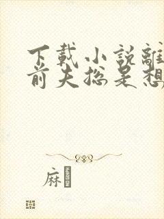 下载小说离婚后前夫总是想追我