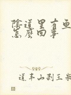 阴道里有鱼腥味怎么回事