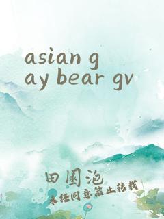 asian gay bear gv