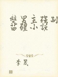 双男主强制生子苗疆小说