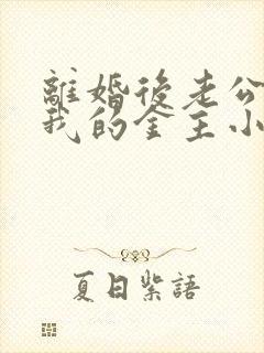 离婚后老公成了我的金主小说