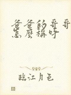 爸爸的哥哥老婆怎么称呼