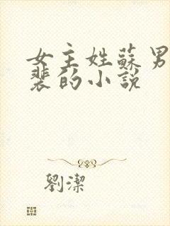 女主姓苏男主姓裴的小说