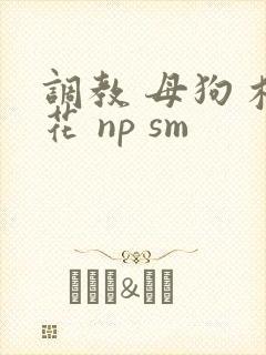 调教 母狗 校花 np sm