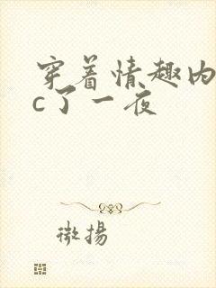 穿着情趣内衣被c了一夜