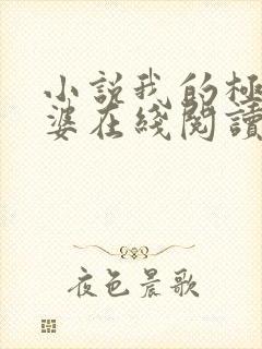 小说我的极品老婆在线阅读