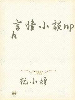 言情小说np高h