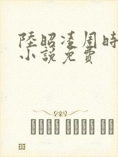 陆昭凌周时阅的小说免费