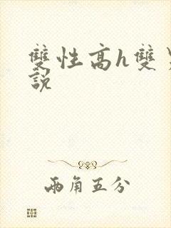 双性高h双男小说