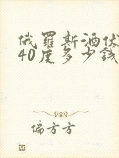 俄罗斯酒伏特加40度多少钱一瓶