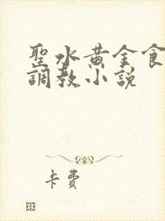 圣水黄金食粪奴调教小说