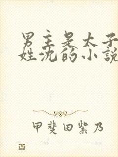 男主是太子女主姓沈的小说