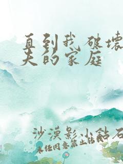 直到我破坏了丈夫的家庭