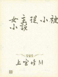 女主从小被调教小说