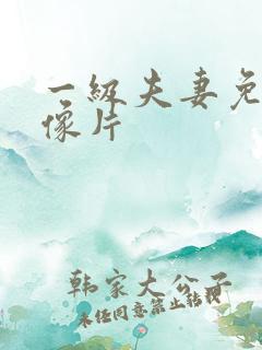 一级夫妻免费录像片