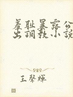 羞耻暴露公共露出调教小说