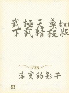 武极天尊txt下载精校版