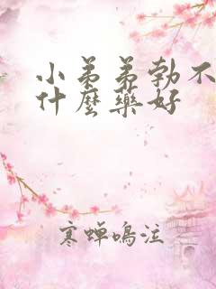 小弟弟勃不起吃什么药好