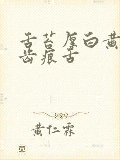 舌苔厚白黄腻有齿痕舌