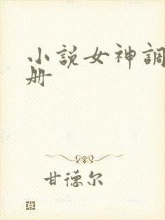 小说女神调教手册