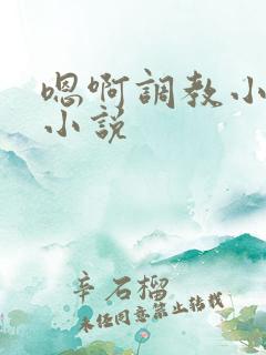 嗯啊调教小骚货小说
