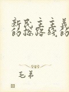 新民主主义革命的总路线的核心是