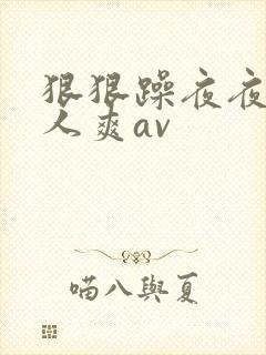 狠狠躁夜夜躁人人爽av