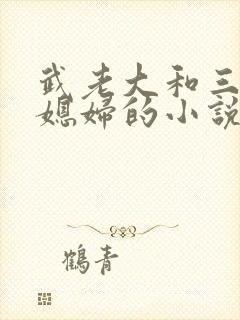 武老大和三个儿媳妇的小说