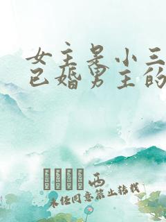 女主是小三勾搭已婚男主的文