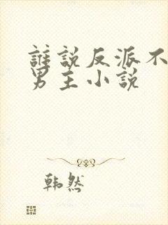 谁说反派不能当男主小说