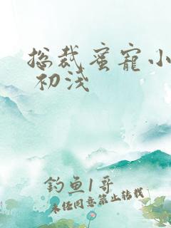 总裁蜜宠小娇妻 初浅