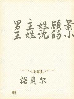 男主姓顾景琛女主姓沈的小说